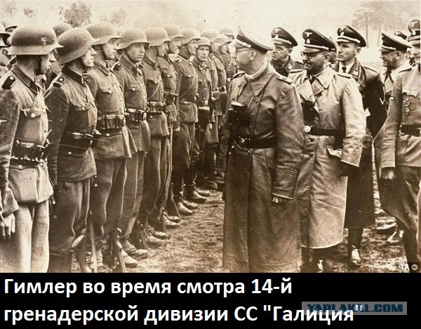 Сталин пишет письмо учителю сына Василия…