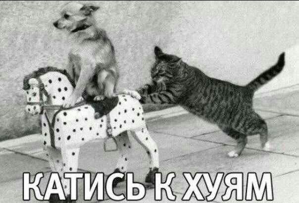 Саманта Пауэр должна уйти