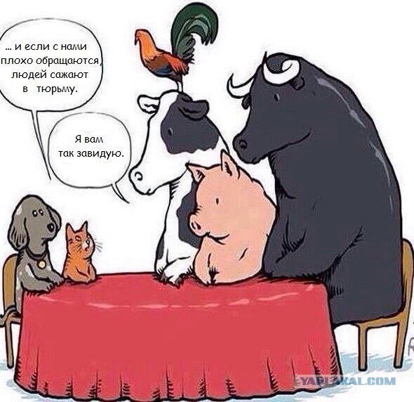"Время героев не прошло"