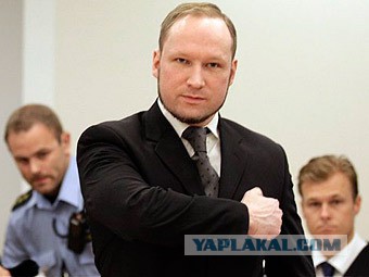 Шведский полицейский о наболевшем