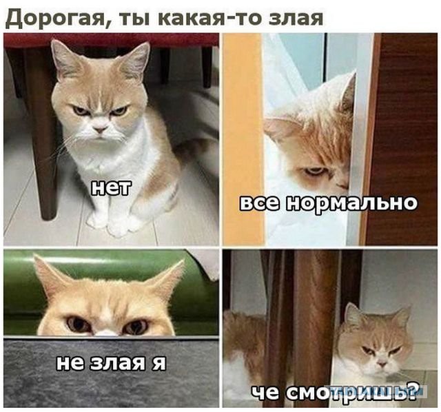 Просто юмор 7