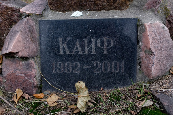 Подборка интересных и веселых картинок