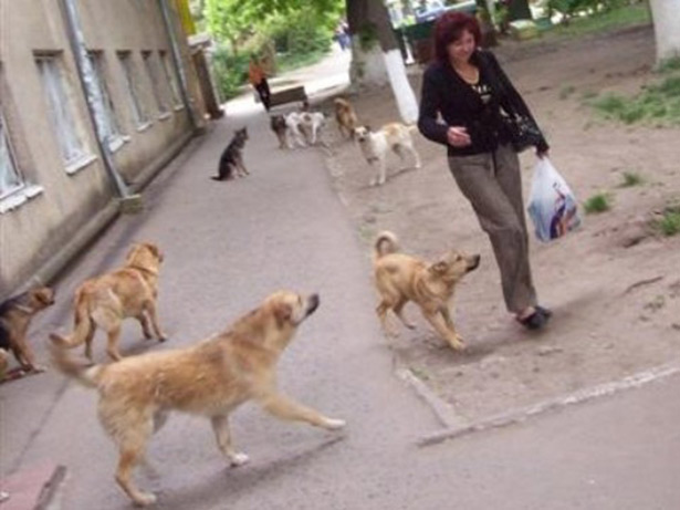 В чистом поле стояла коробка