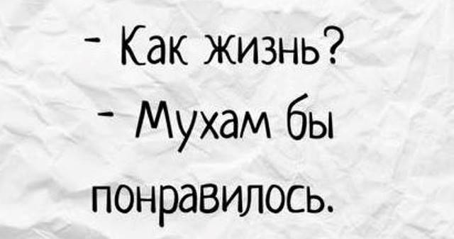 И шо у нас тут? Опа, картинки что-ли?