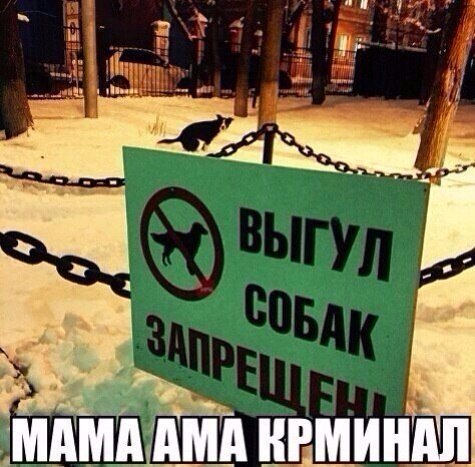 Нестандартный юмор
