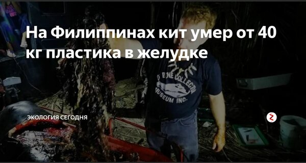 Экологическая катастрофа: Животы большинства китов забиты пластиком