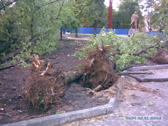 Ураган во Львове.