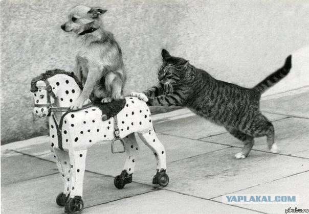 Счетная палата предупредила о сокращении населения России