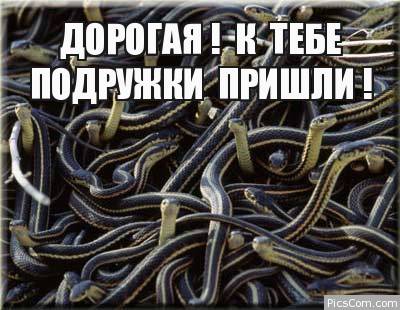 Нищебродка! И замужем за нищебродом!