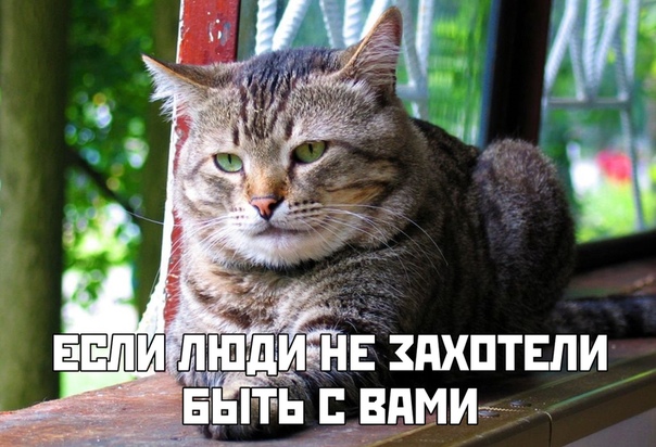 Смотреть!  Кому, ржать? Кому, плакать...
