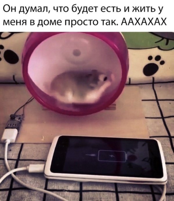 Бредзона