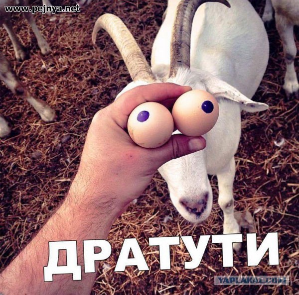 Зачем женщинам оргазм?