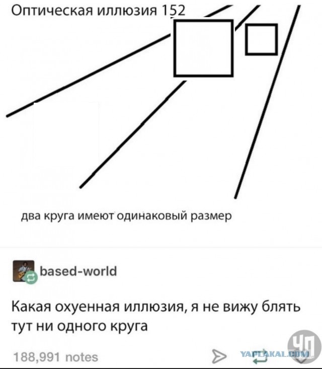 Картинки из этих ваших интернетов 24.02.20