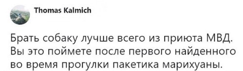 Немного картинок для настроения 08.04.20