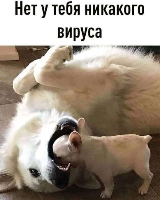Чуток картинок 26.06.20
