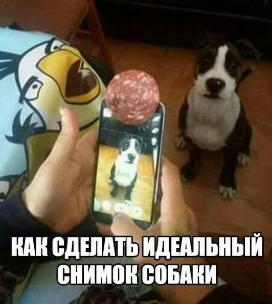 Юмор в комментариях