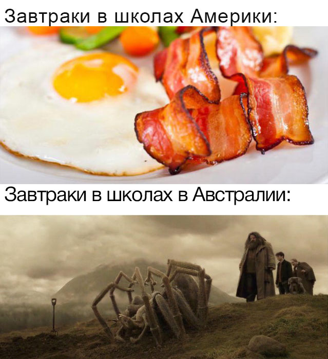 Картинки разнообразные. На злобу дня и на доброту (12.08)