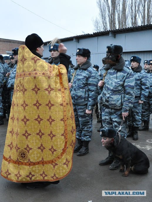 Во имя отца, сына....