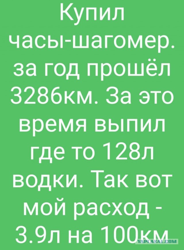 Картинки с надписями и всякие жизненные фразы 01.12.2020