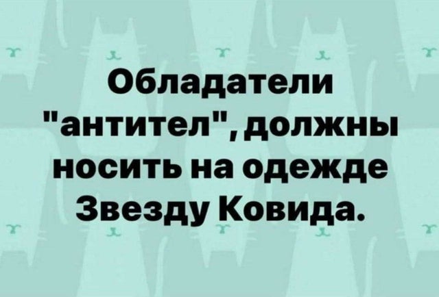Полиция извинилась перед женщиной, которую силовик ударил ногой в живот на несогласованной акции протеста в Санкт-Петербурге