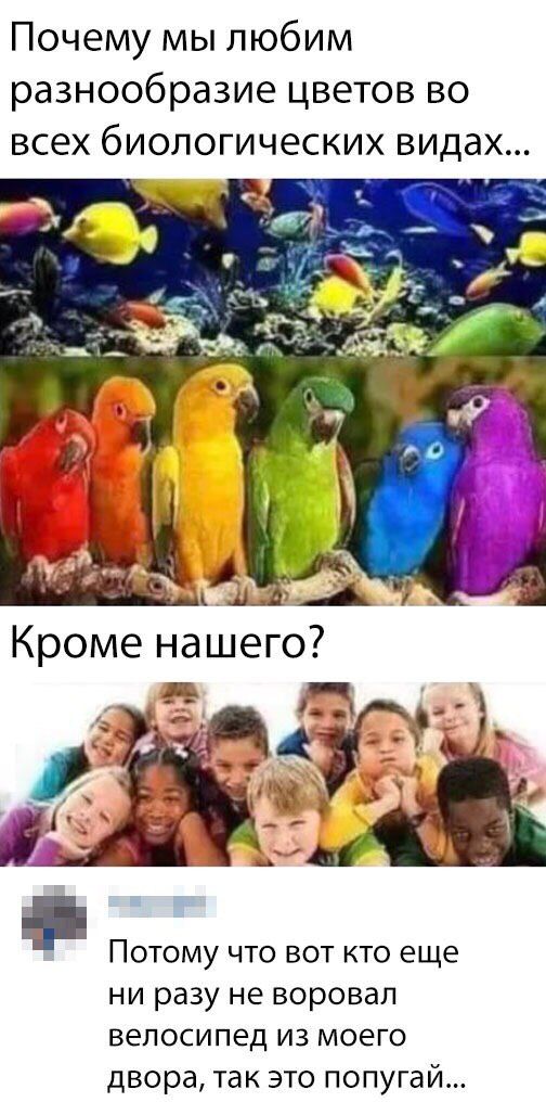 Картинки и мемы для настроения 30.01.21