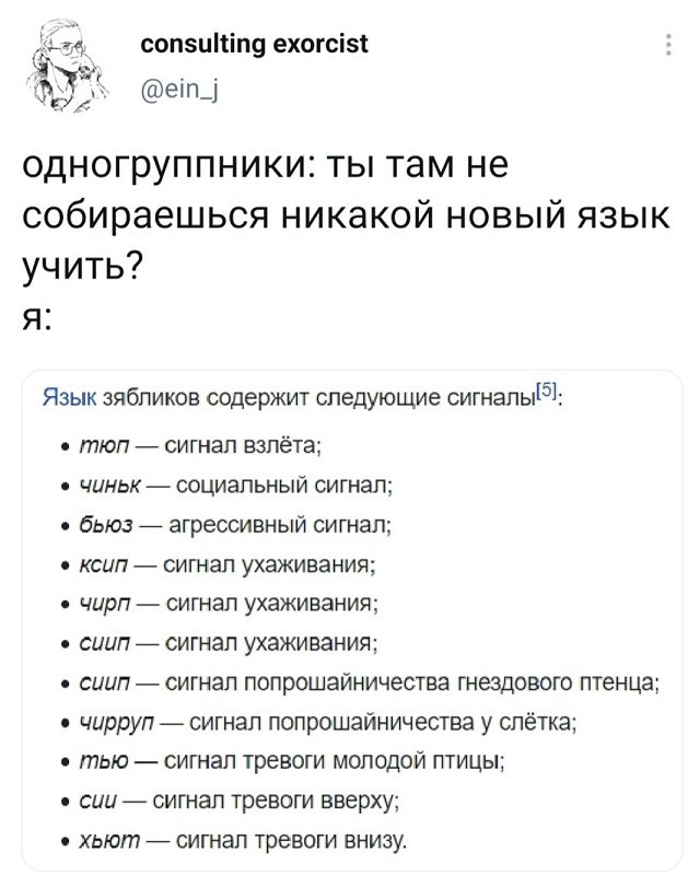 Баянисто-небаянистый юмор 17.02.21