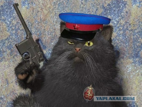 На волосок от...