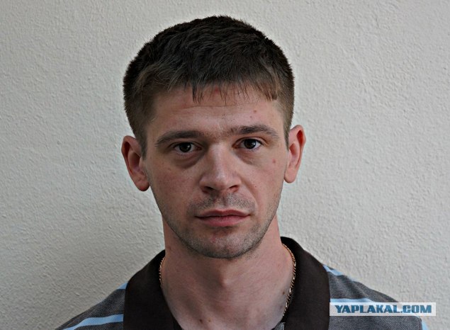 СтопХам Итоги за 2012 год