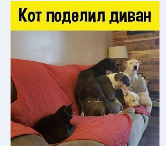 30 веселых картинок #2