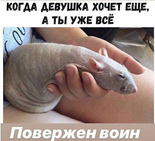 Картинки с лёгким сексуальным намеком