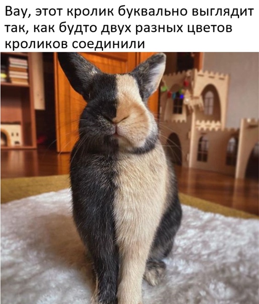 Картинки и мемы для настроения 11.11.2021