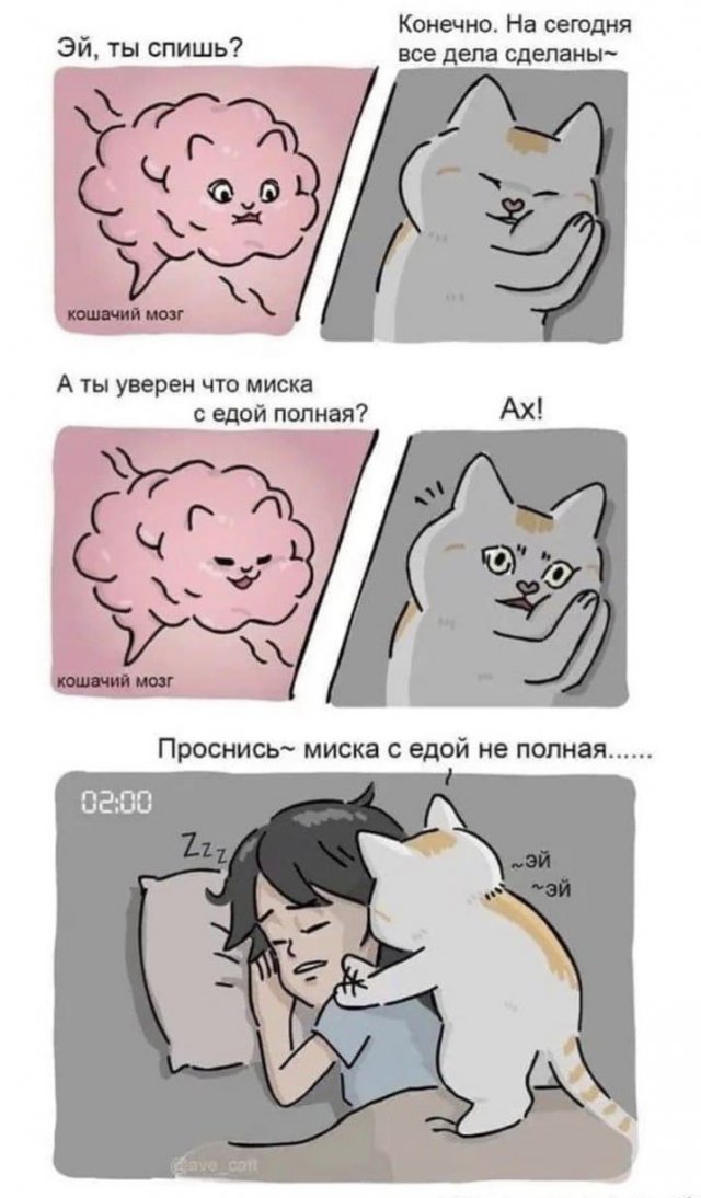 Бредзона