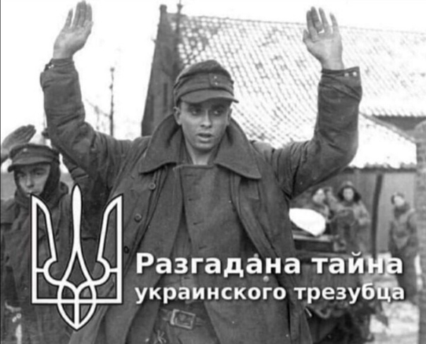 Денацификация.