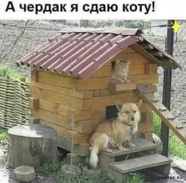 Так себе картинки 09.04.22