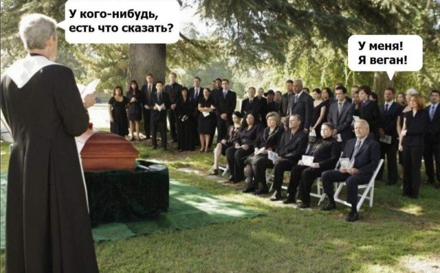 Так себе картинки 12.04.22