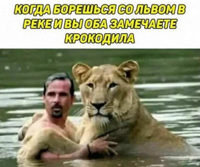 Картинки и мемы для настроения - 11