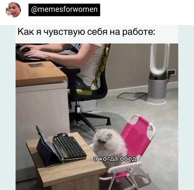 Немного картинок для настроения - 119