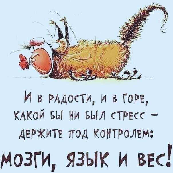 Картинки и мемы для настроения - 23