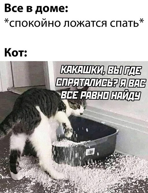 Картинки и мемы для настроения - 21
