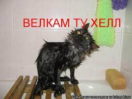 По мотивам сегодняшних событий
