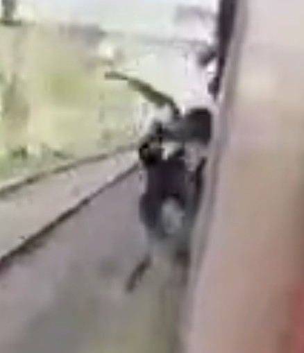 Претендент на премию сами знаете кого...