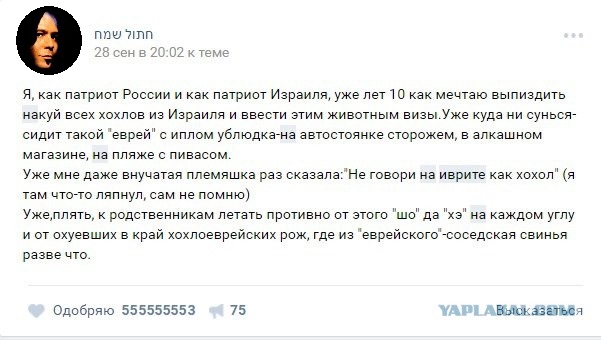 В Тель-Авиве митингующих с украинскими флагами поприветствовали словами "Ахмат — сила"