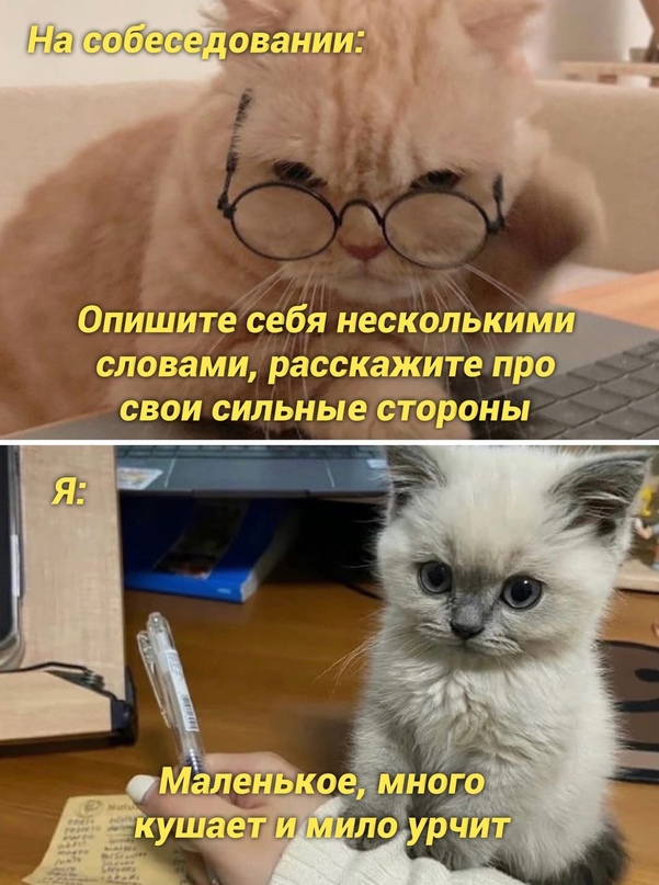Немного картинок для настроения - 131