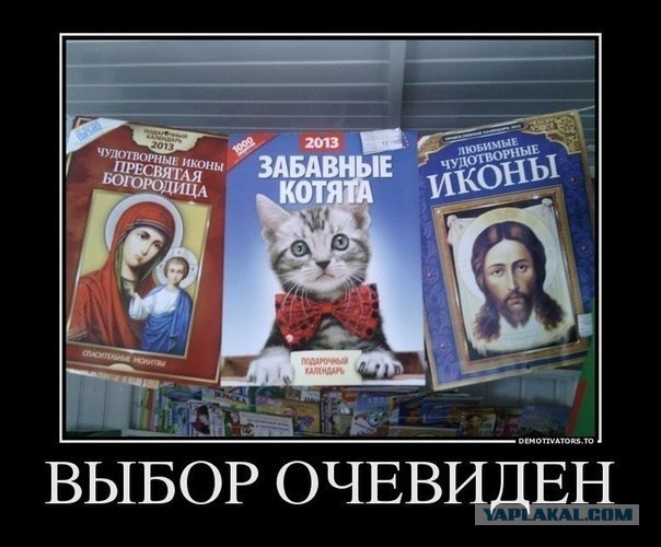 О безмозглости