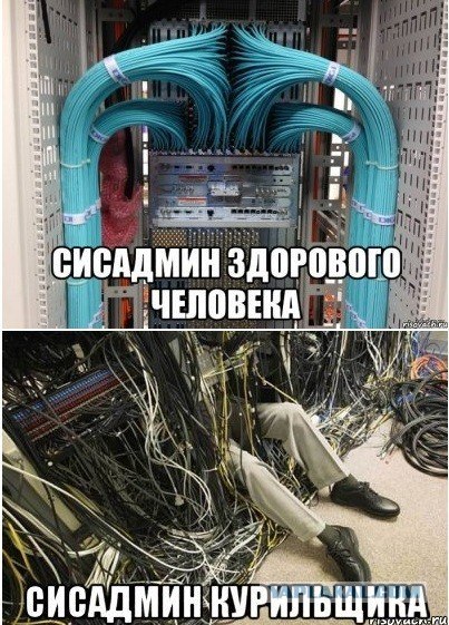 Баяны 10-ти летней выдержки