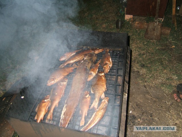 Рыбалка в Астрахани