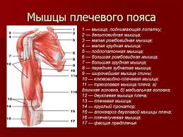 «Я могу быть невинной хоть сто раз». Капсулы девственности покорили Азию