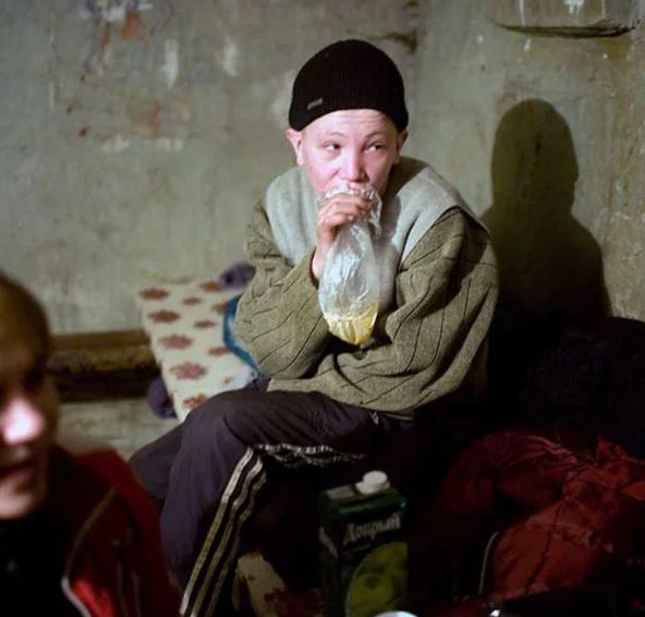 Китайские учёные открыли восемь новых неизвестных вирусов, теперь планируют поэкспериментировать с ними