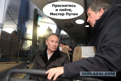 Грустный какойто, на лиса  похож