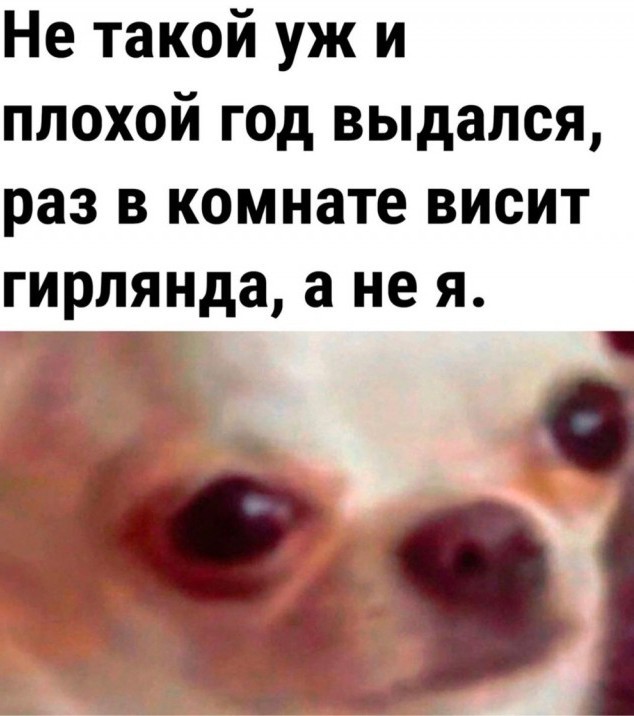 Подводим итоги выполненных, личных  планов на 2023 год!